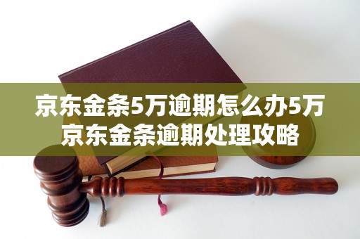 京东金条5万逾期怎么办5万京东金条逾期处理攻略