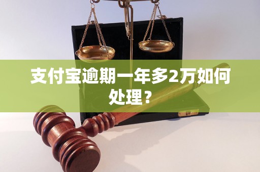 支付宝逾期一年多2万如何处理？