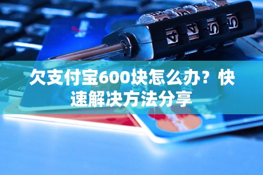 欠支付宝600块怎么办？快速解决方法分享