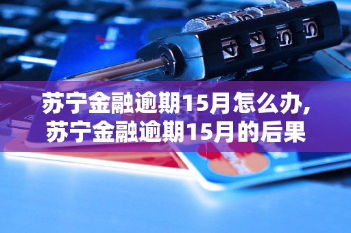 苏宁金融逾期15月怎么办,苏宁金融逾期15月的后果