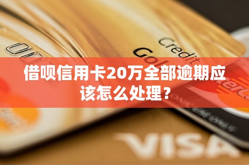 借呗信用卡20万全部逾期应该怎么处理？