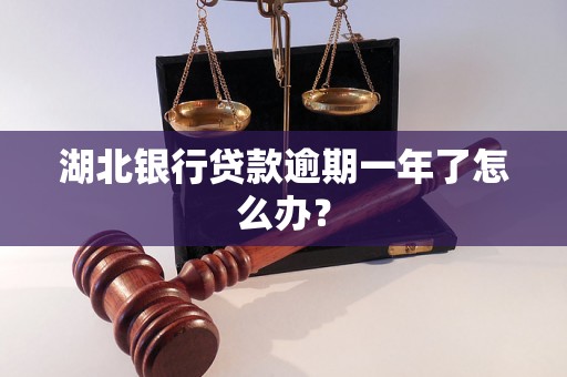 湖北银行贷款逾期一年了怎么办？