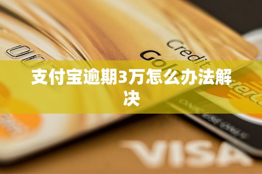 支付宝逾期3万怎么办法解决