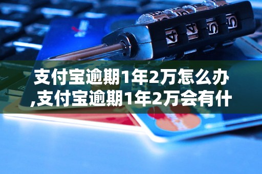 支付宝逾期1年2万怎么办,支付宝逾期1年2万会有什么后果