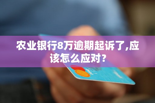 农业银行8万逾期起诉了,应该怎么应对？