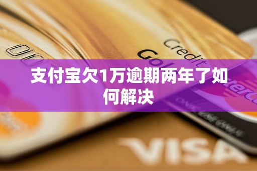 支付宝欠1万逾期两年了如何解决