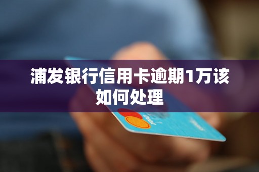 浦发银行信用卡逾期1万该如何处理