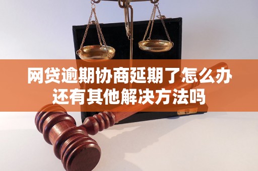 网贷逾期协商延期了怎么办还有其他解决方法吗