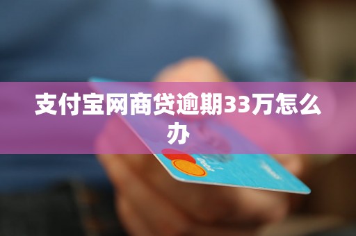 支付宝网商贷逾期33万怎么办