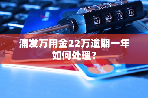 浦发万用金22万逾期一年如何处理？