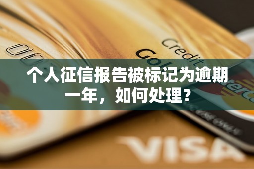 个人征信报告被标记为逾期一年，如何处理？