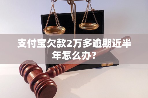 支付宝欠款2万多逾期近半年怎么办？