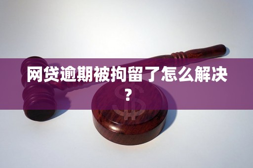 网贷逾期被拘留了怎么解决？