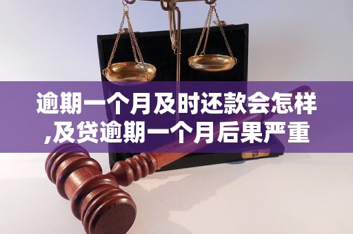 逾期一个月及时还款会怎样,及贷逾期一个月后果严重吗