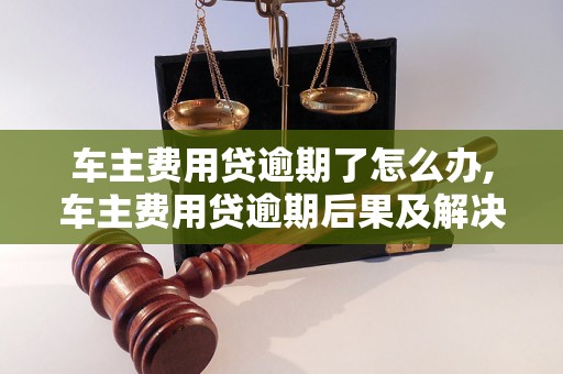 车主费用贷逾期了怎么办,车主费用贷逾期后果及解决方法