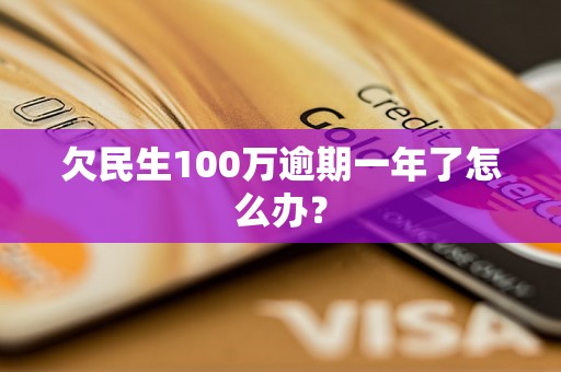 欠民生100万逾期一年了怎么办？