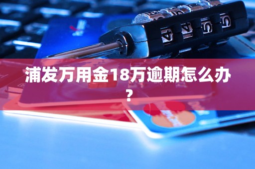 浦发万用金18万逾期怎么办？