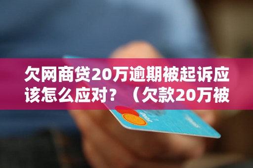 欠网商贷20万逾期被起诉应该怎么应对？（欠款20万被起诉应对策略）