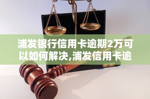 浦发银行信用卡逾期2万可以如何解决,浦发信用卡逾期还款处理方法