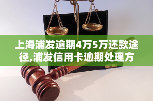 上海浦发逾期4万5万还款途径,浦发信用卡逾期处理方法