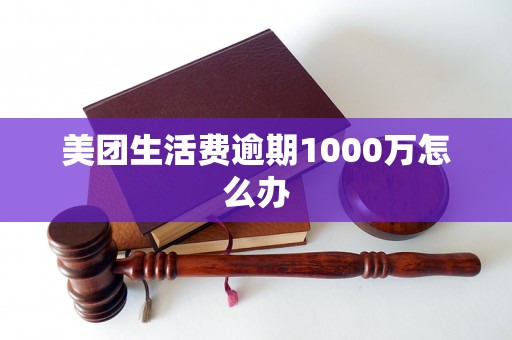 美团生活费逾期1000万怎么办