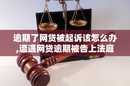 逾期了网贷被起诉该怎么办,遭遇网贷逾期被告上法庭怎么办