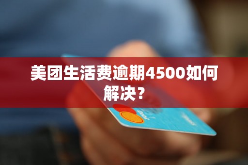 美团生活费逾期4500如何解决？