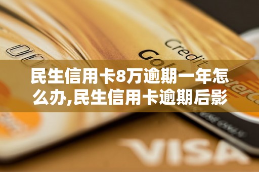 民生信用卡8万逾期一年怎么办,民生信用卡逾期后影响及处理方式