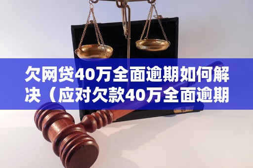 欠网贷40万全面逾期如何解决（应对欠款40万全面逾期的有效方法）