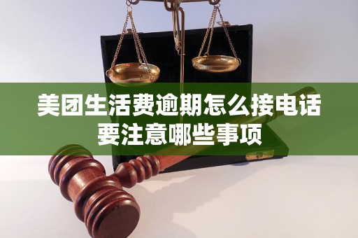 美团生活费逾期怎么接电话要注意哪些事项