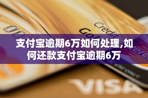 支付宝逾期6万如何处理,如何还款支付宝逾期6万