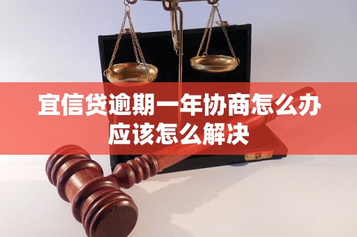 宜信贷逾期一年协商怎么办应该怎么解决