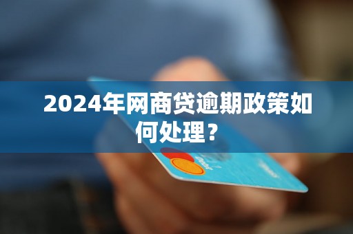 2024年网商贷逾期政策如何处理？