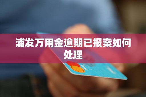 浦发万用金逾期已报案如何处理