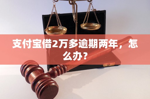 支付宝借2万多逾期两年，怎么办？