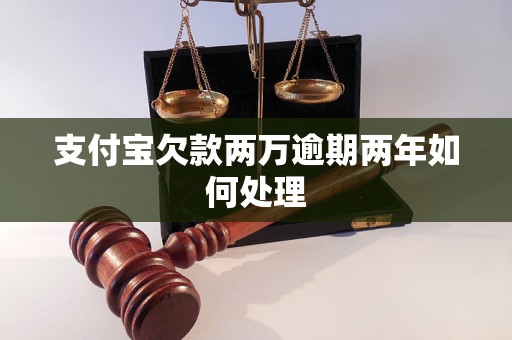 支付宝欠款两万逾期两年如何处理