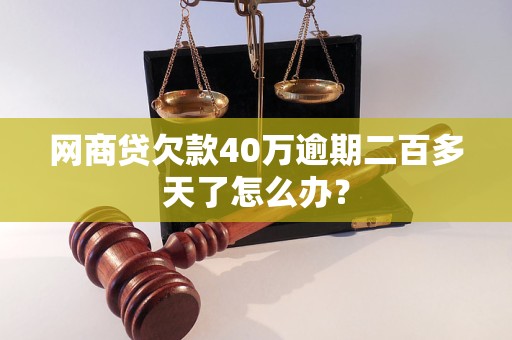 网商贷欠款40万逾期二百多天了怎么办？