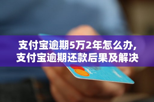 支付宝逾期5万2年怎么办,支付宝逾期还款后果及解决方法