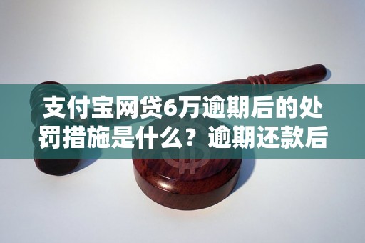 支付宝网贷6万逾期后的处罚措施是什么？逾期还款后会有什么影响？