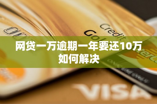 网贷一万逾期一年要还10万如何解决