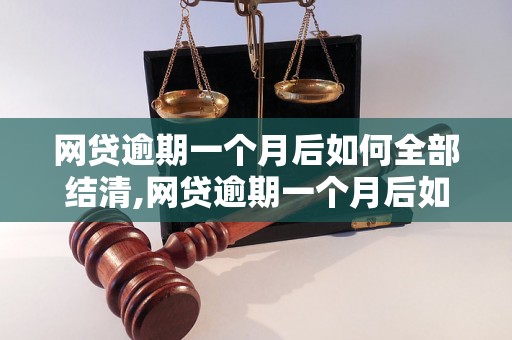 网贷逾期一个月后如何全部结清,网贷逾期一个月后如何还款