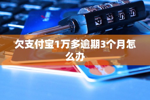 欠支付宝1万多逾期3个月怎么办