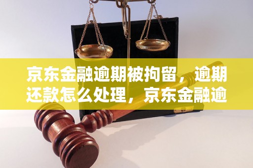 京东金融逾期被拘留，逾期还款怎么处理，京东金融逾期罚款多少