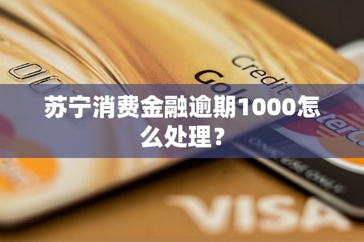 苏宁消费金融逾期1000怎么处理？