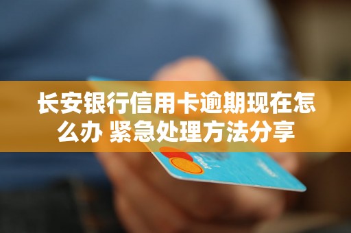长安银行信用卡逾期现在怎么办 紧急处理方法分享