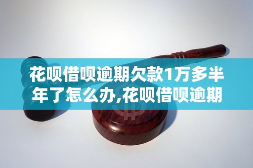 花呗借呗逾期欠款1万多半年了怎么办,花呗借呗逾期处理方法指南