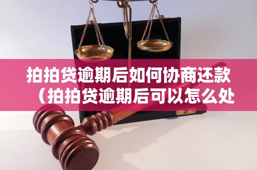 拍拍贷逾期后如何协商还款（拍拍贷逾期后可以怎么处理）