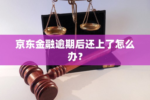 京东金融逾期后还上了怎么办？