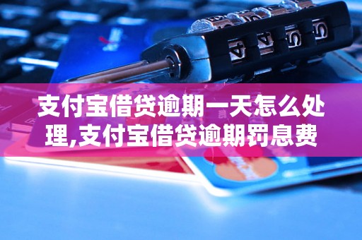 支付宝借贷逾期一天怎么处理,支付宝借贷逾期罚息费用说明