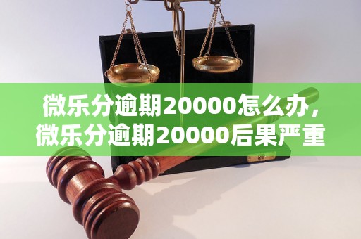 微乐分逾期20000怎么办，微乐分逾期20000后果严重吗